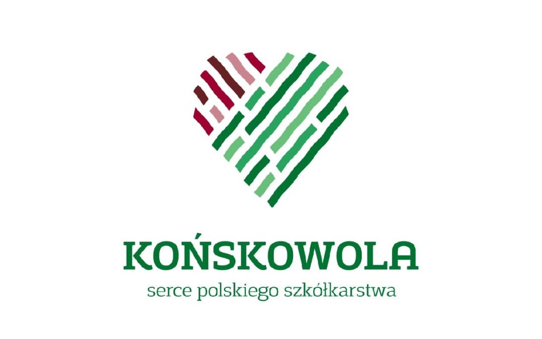 Plan zamówień publicznych na rok 2021