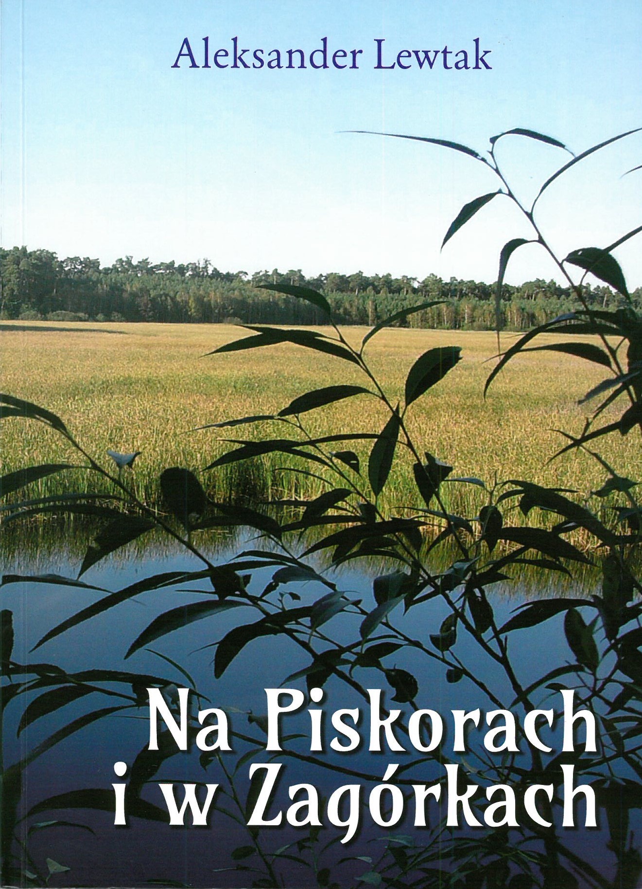 Zdjęcie okładki książki Aleksandra Lewtaka - "Na Piskorach i w Zagórkach"