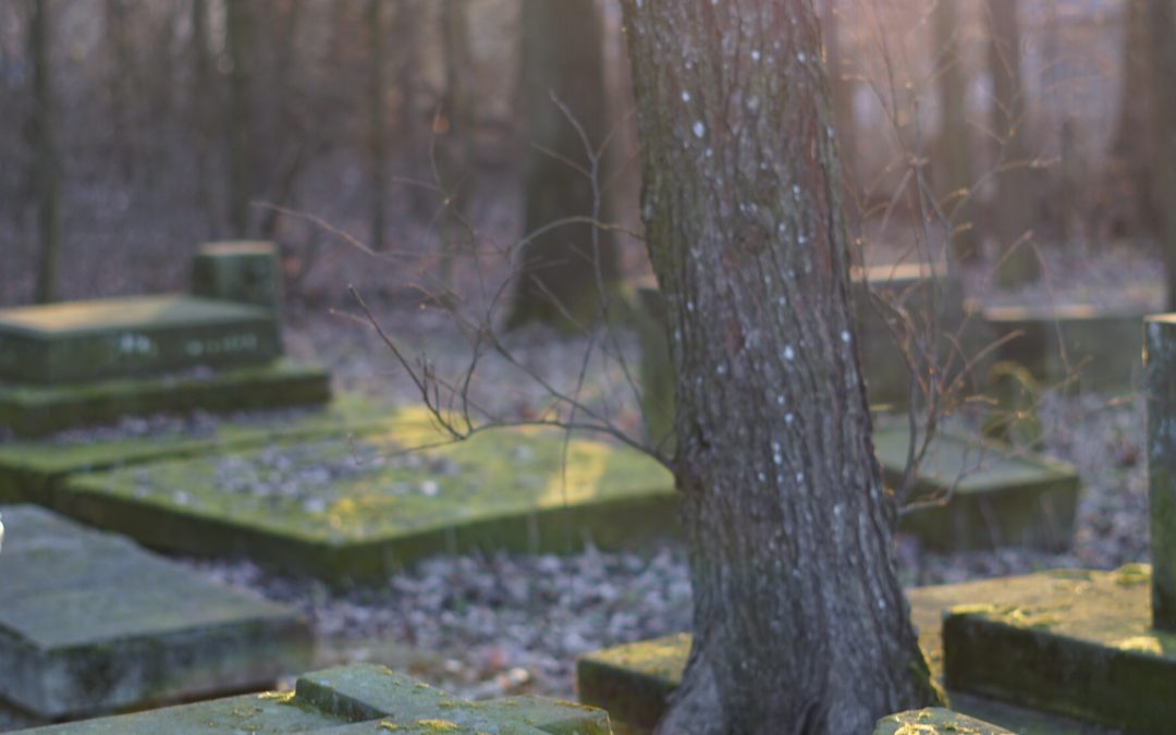 Cmentarz ewangelicko-augsburski – ostatnie ślady luteran w Końskowoli