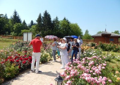 Szkolenie wyjazdowe – Park Miliona Róż i Zabytków Kresowych oraz Biblioteka szkolna w Kazimierzu Dln.